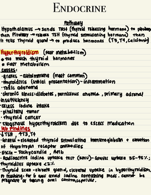 EKG Interpretation Guide: Identifying Rhythms & Heart Conditions - Studocu