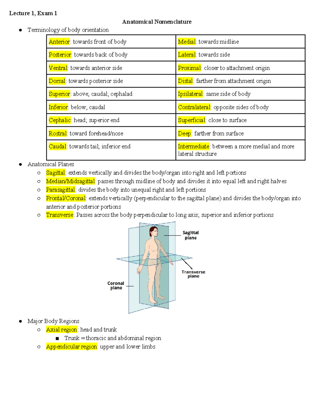 ANAT201 Lecture 1: Anatomical Terminology and Body Orientation - Studocu