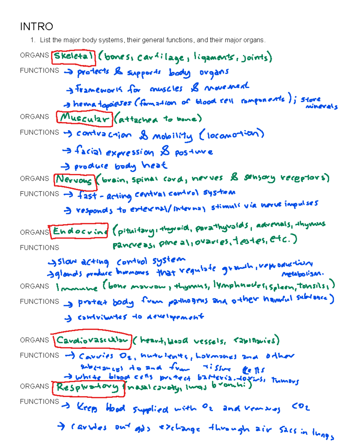 BIO 305 Midterm 1 Study Guide: Body Systems & Functions - Studocu