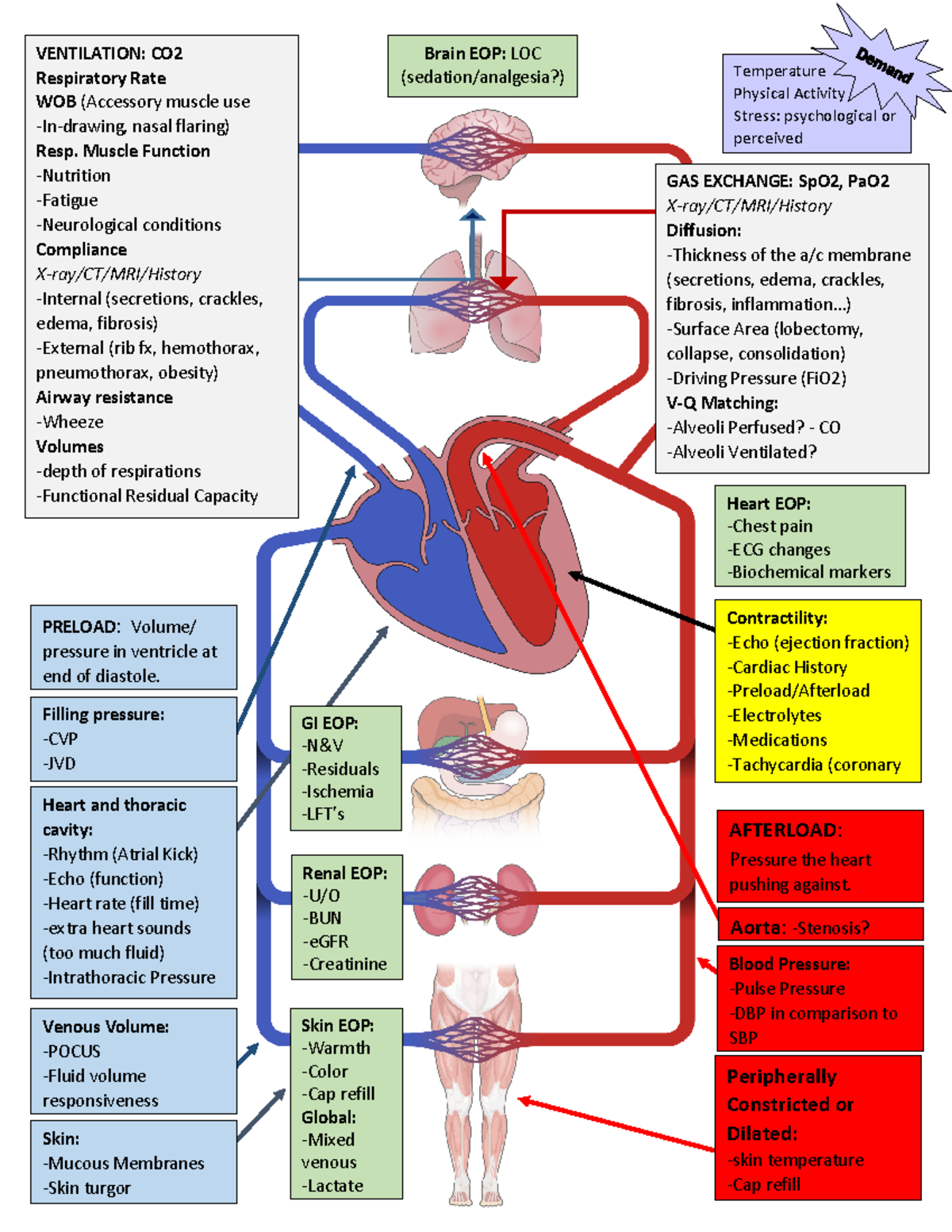O2S&D - oxygen and supply demand - VENTILATION: CO Respiratory Rate WOB ...