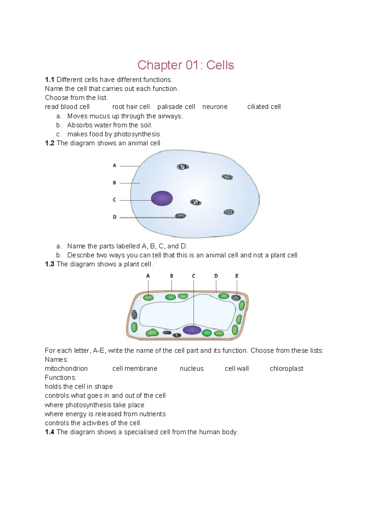 Cambridge Primary - Science - Grade 6: Cells and Materials Chapter ...
