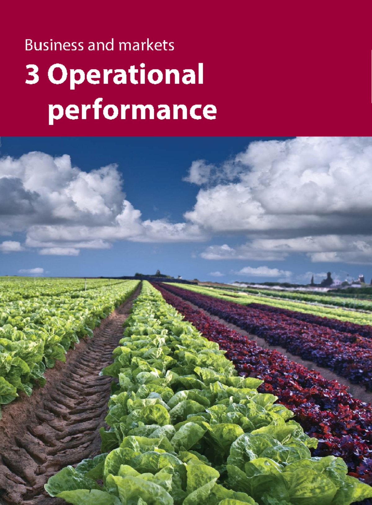 Chp 3: Operational Performance - International AS Level Business - Studocu
