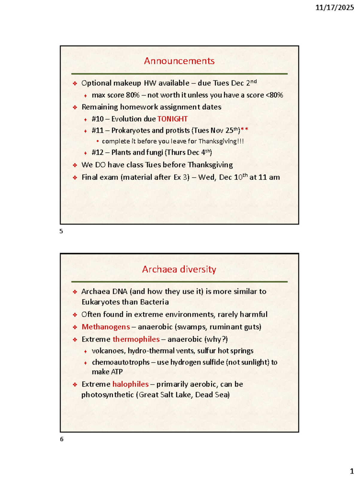 BIOL 101 Lecture Notes: Archaea and Protists Overview - Studocu