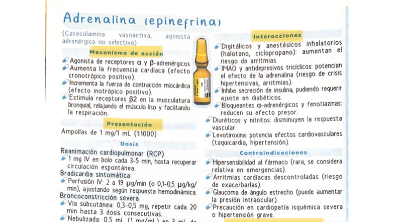 Apuntes sobre Adrenalina (Epinefrina) y su Mecanismo de Acción en ...