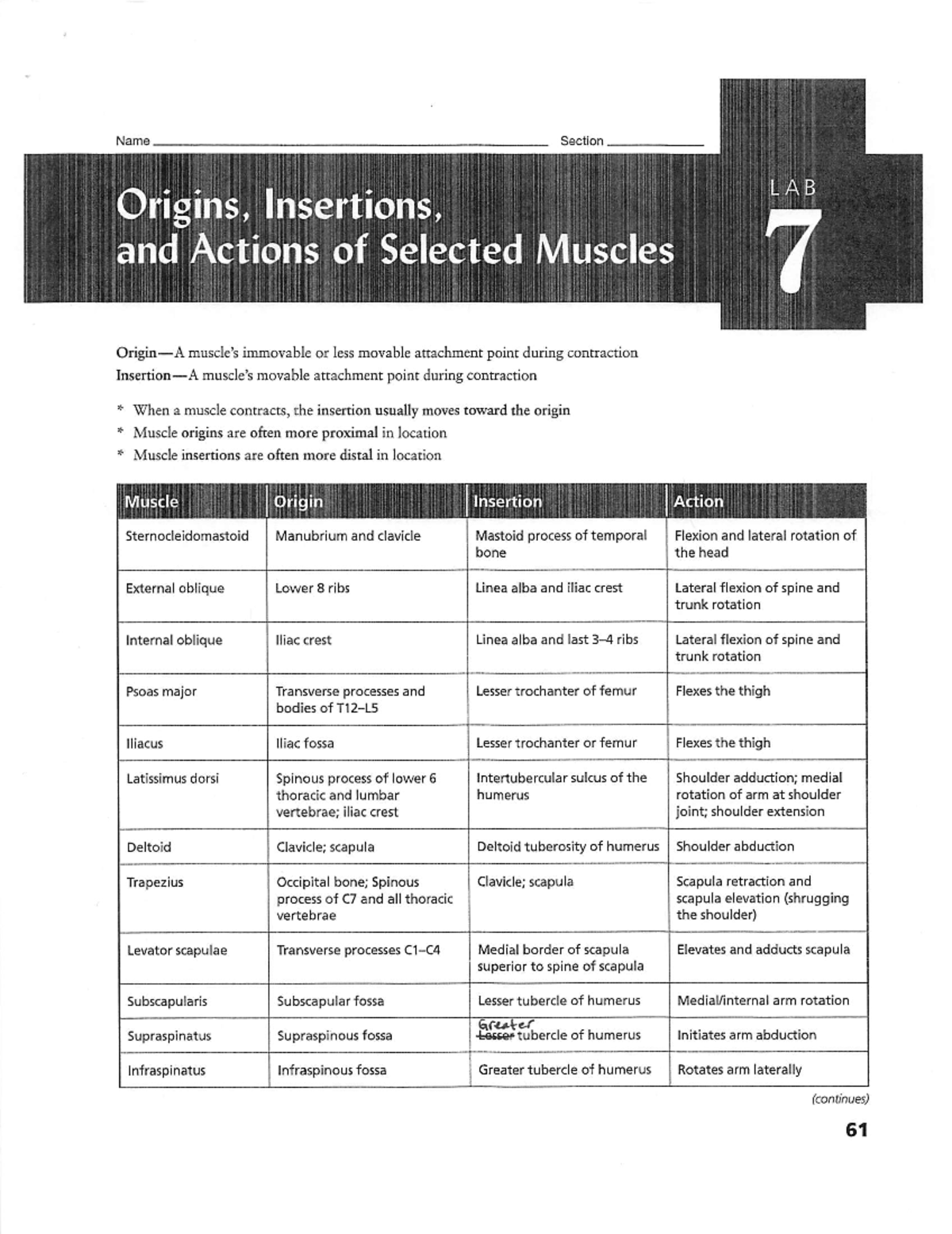 Final Exam Study Guide for Course XYZ 101: Key Concepts and Topics ...