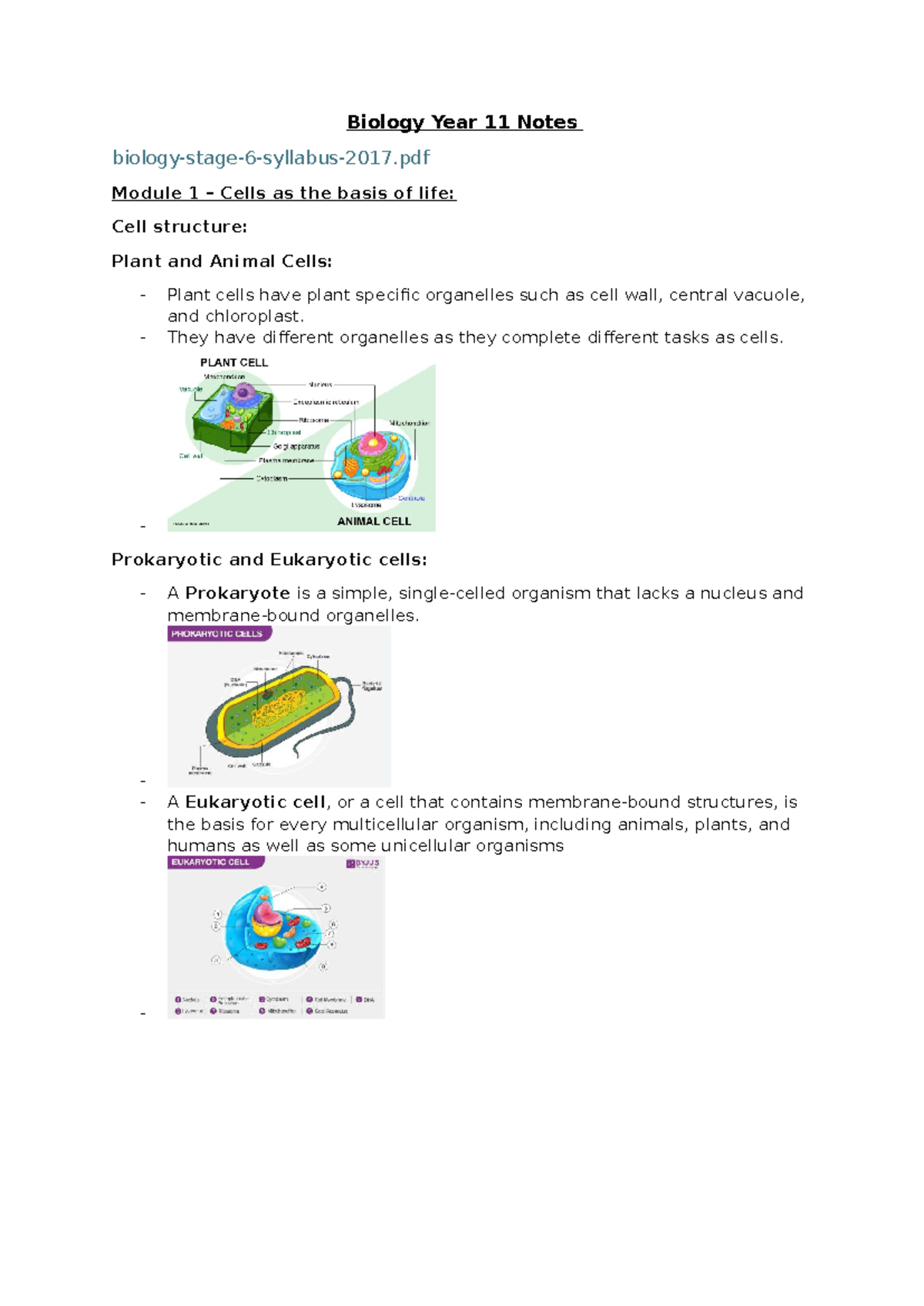 Biology Year 11 Notes - Module 1: Cells and Their Functions - Studocu