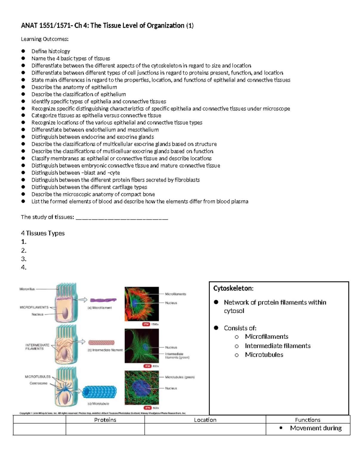 ANAT1551-1571 Ch 4: Tissue Types and Histology Overview - Studocu