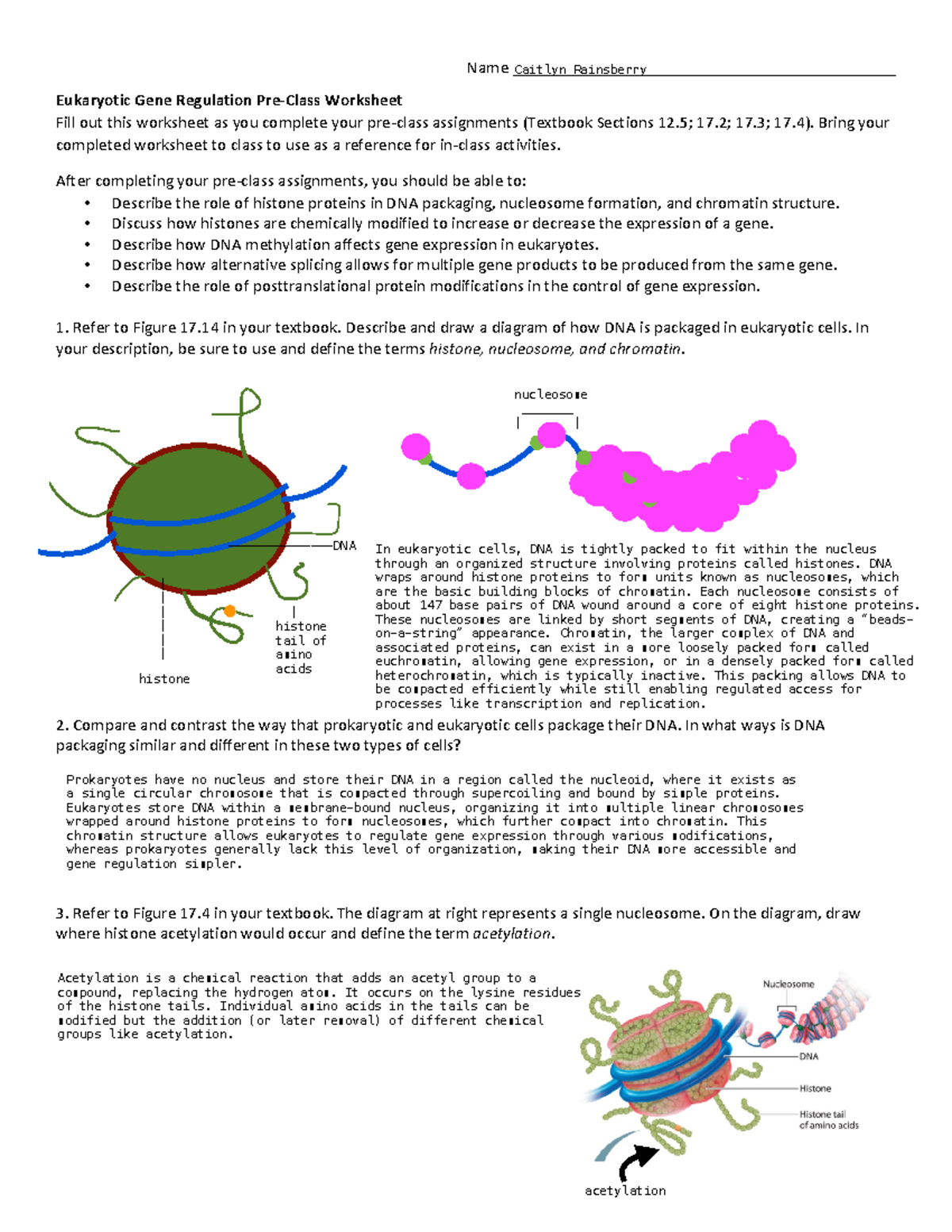 Week 8a Pre-Class Reading Guide - Eukaryotic Gene Regulation - Name ...