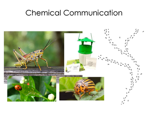 Chemoreception: Olfactory and Taste Receptors Overview - Chemoreception ...
