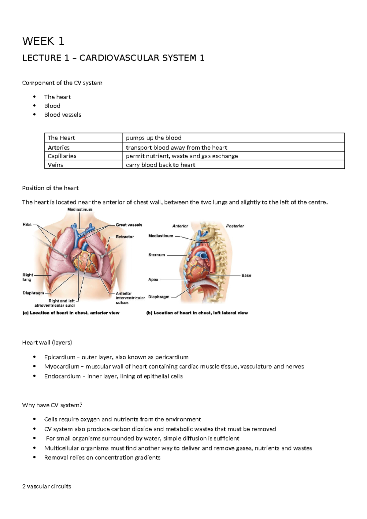 lecture notes week 1-6 - WEEK 1 LECTURE 1 – CARDIOVASCULAR SYSTEM 1 ...