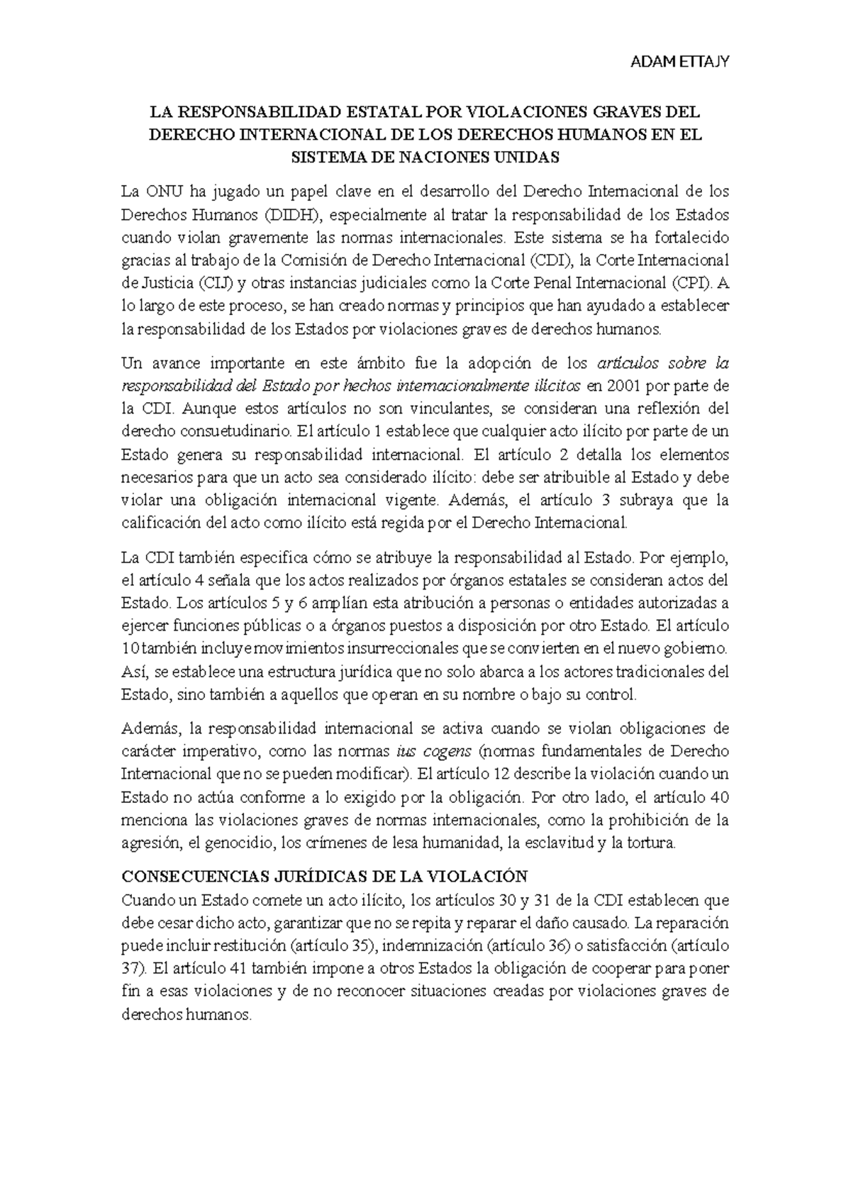 ADAM ETTAJY RESPONSABILIDAD ESTATAL POR VIOLACIONES DE DDHH EN LA ONU ...