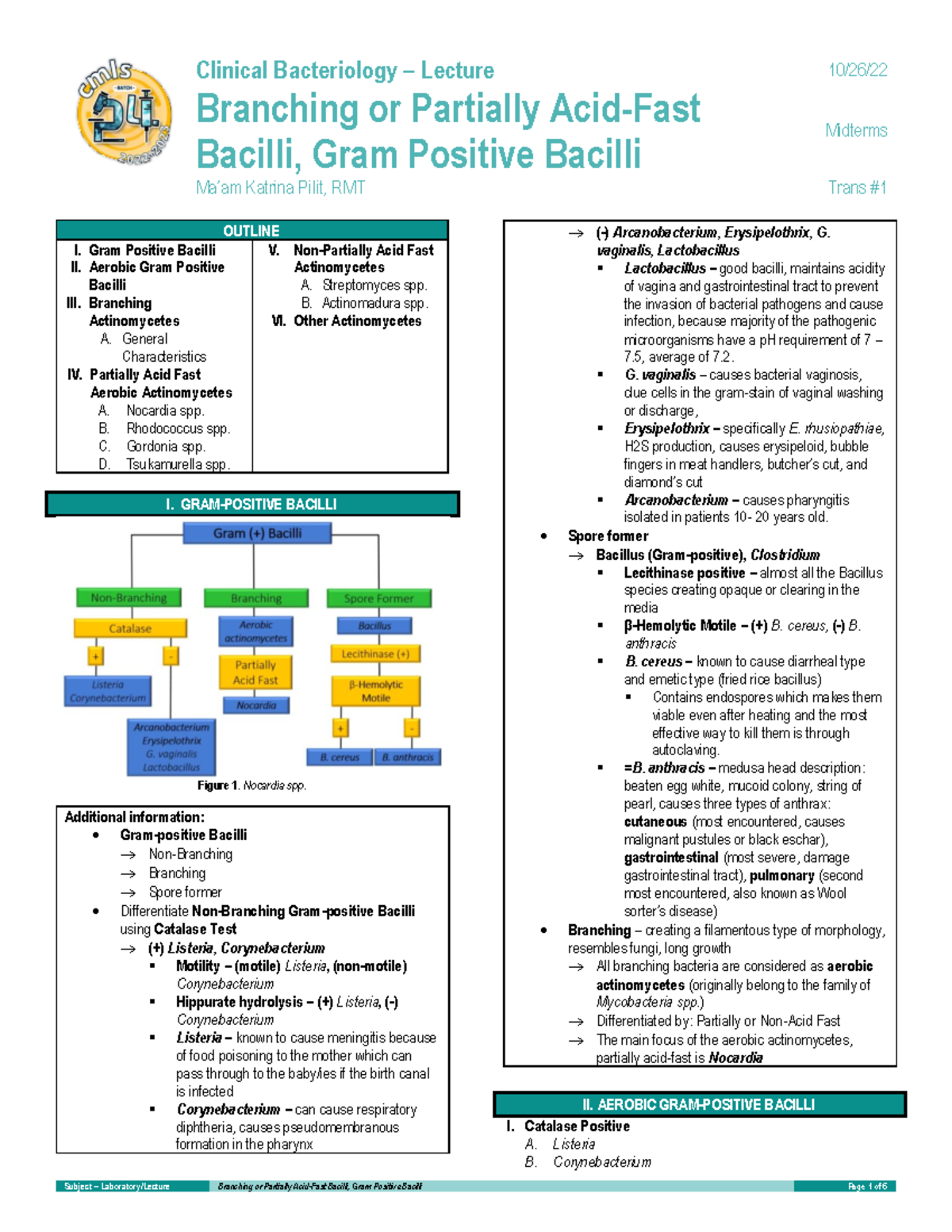 1. Branching or Partially Acid-Fast Bacilli, Gram Positive Bacilli ...