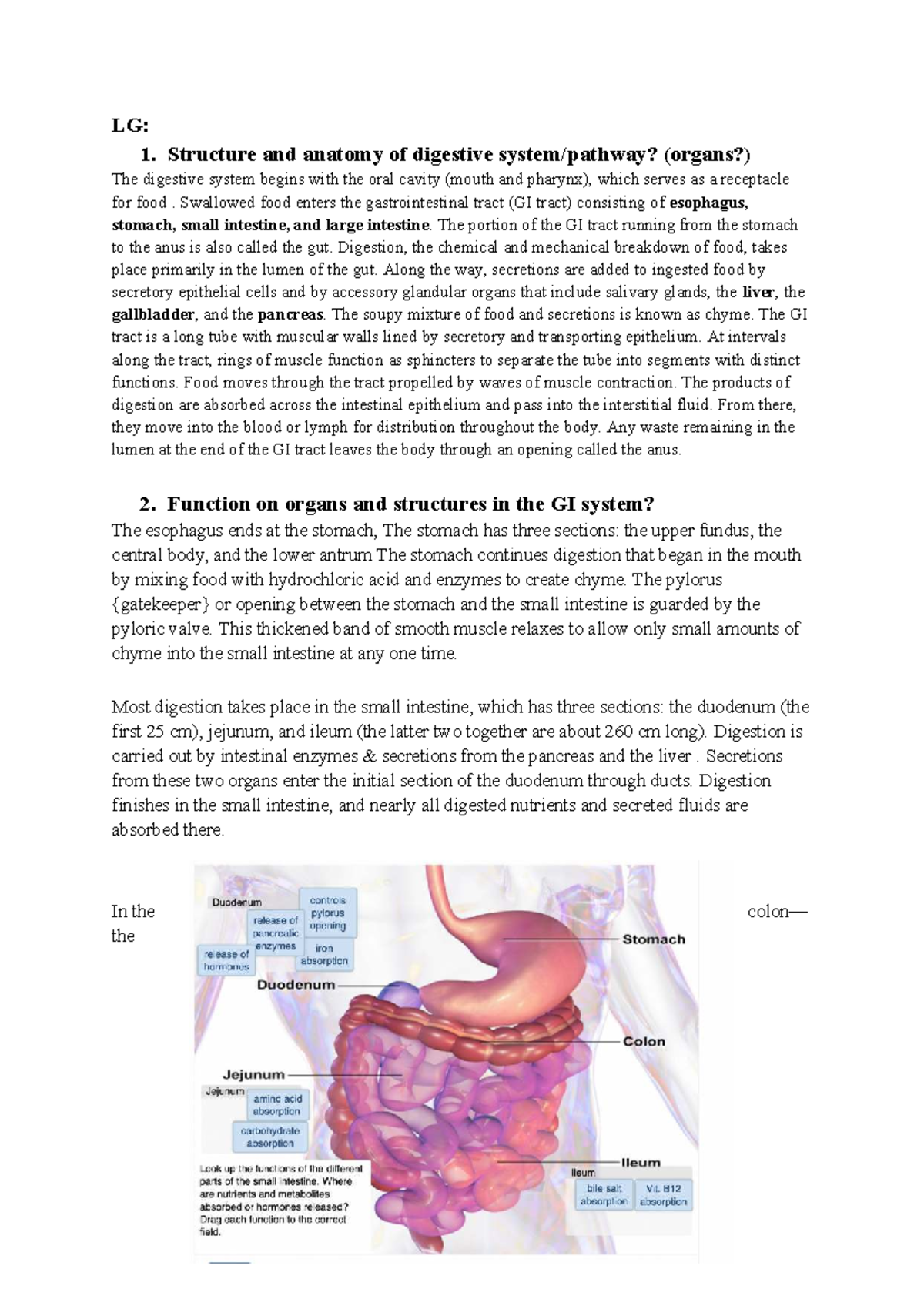 LG: 1. Structure and Function of the Digestive System - Case Study 6 ...