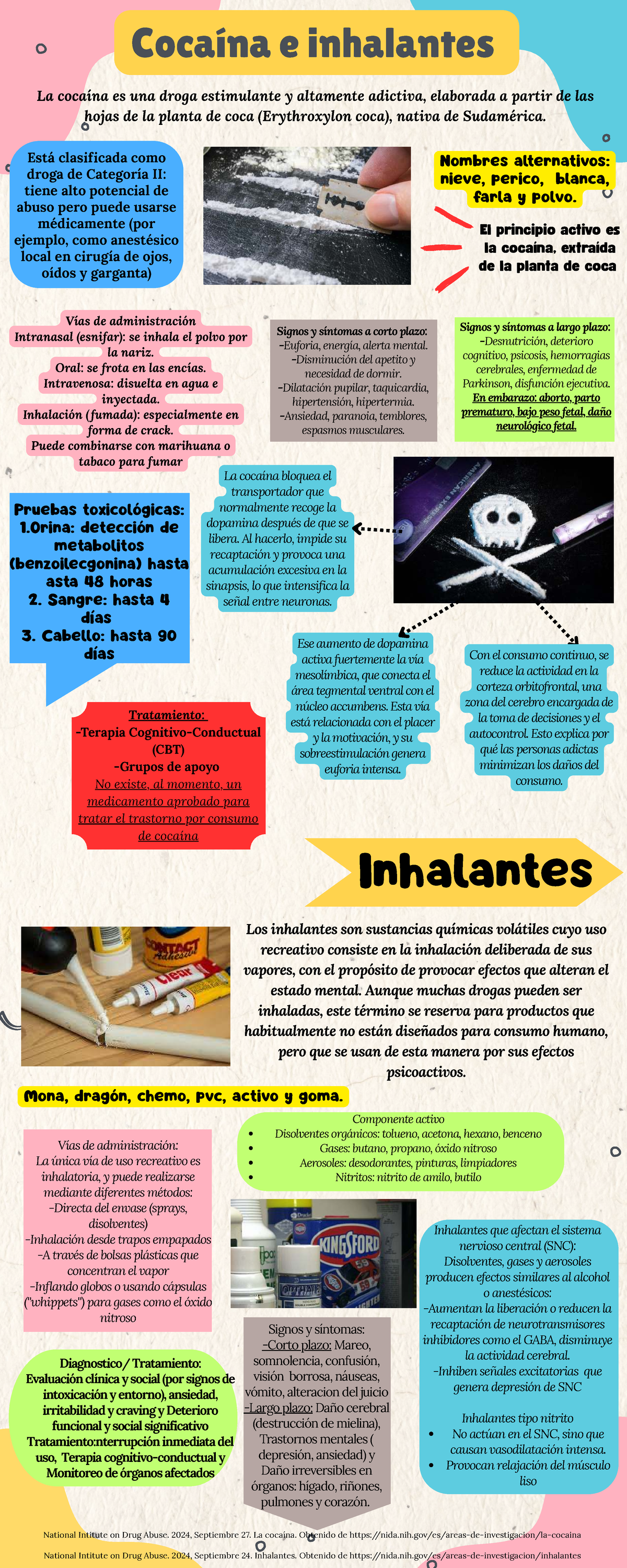 Inhalantes y Cocaína: Efectos, Tratamientos y Riesgos - Studocu