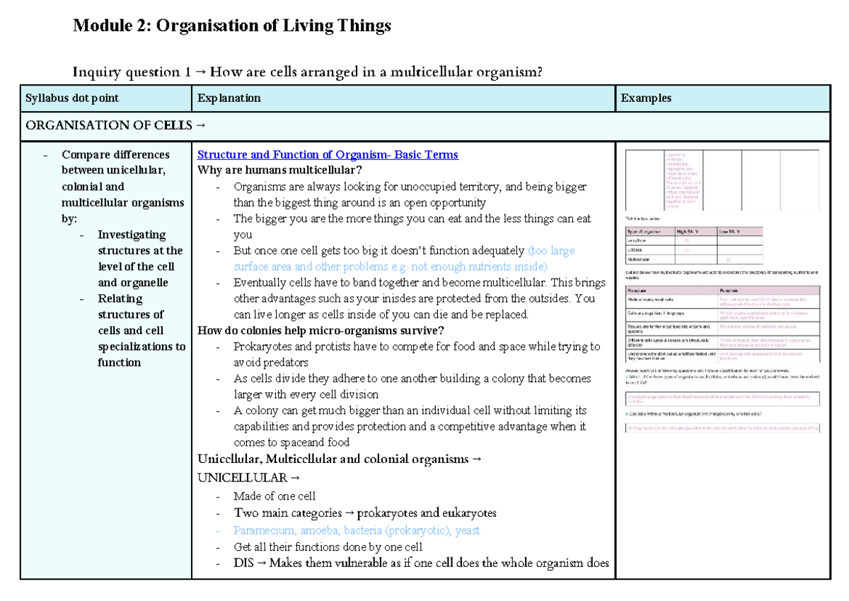 BIO MOD 2: Organisation of Living Things - Cells & Multicellularity ...