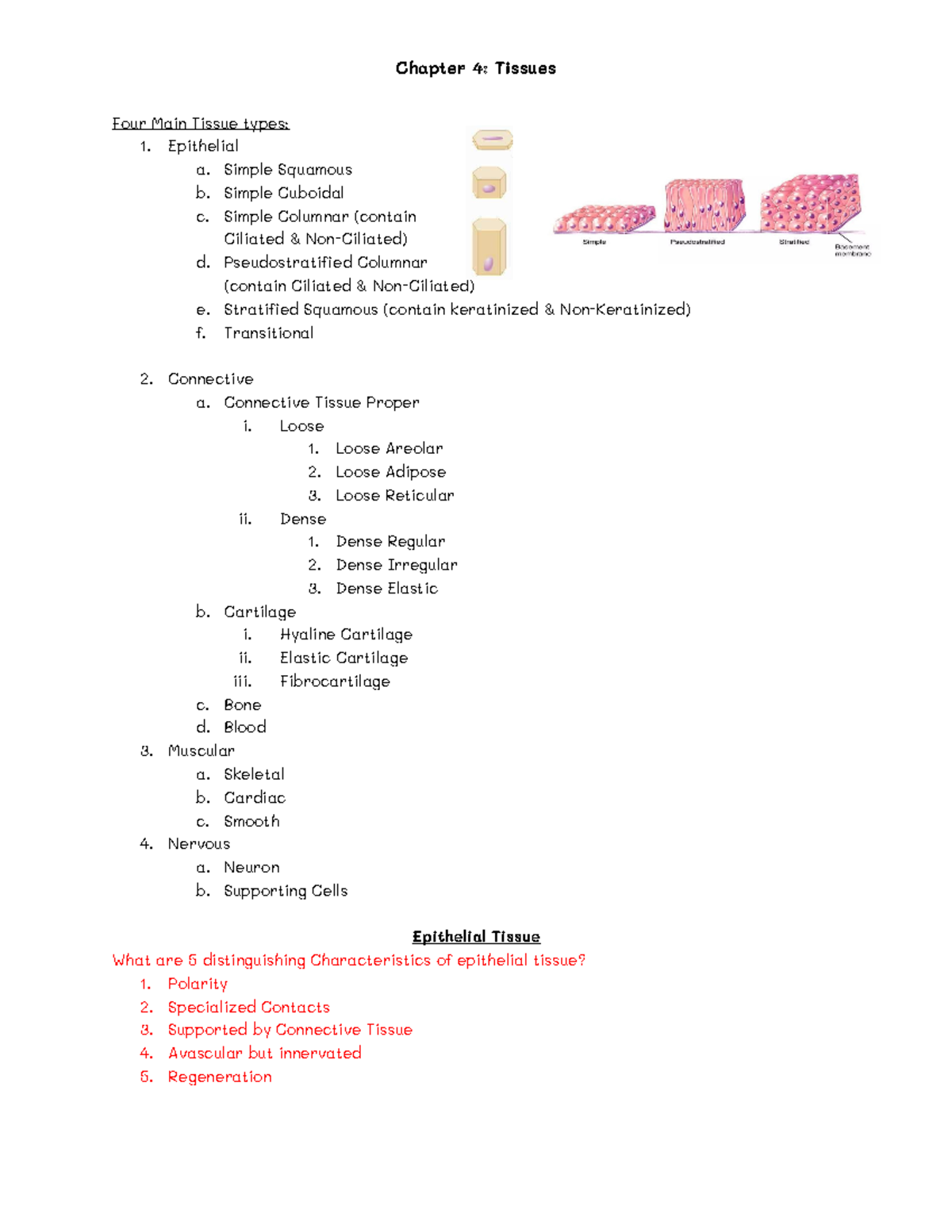 Chapter 4 Study Guide: Tissues for Anatomy & Physiology 1 - Studocu