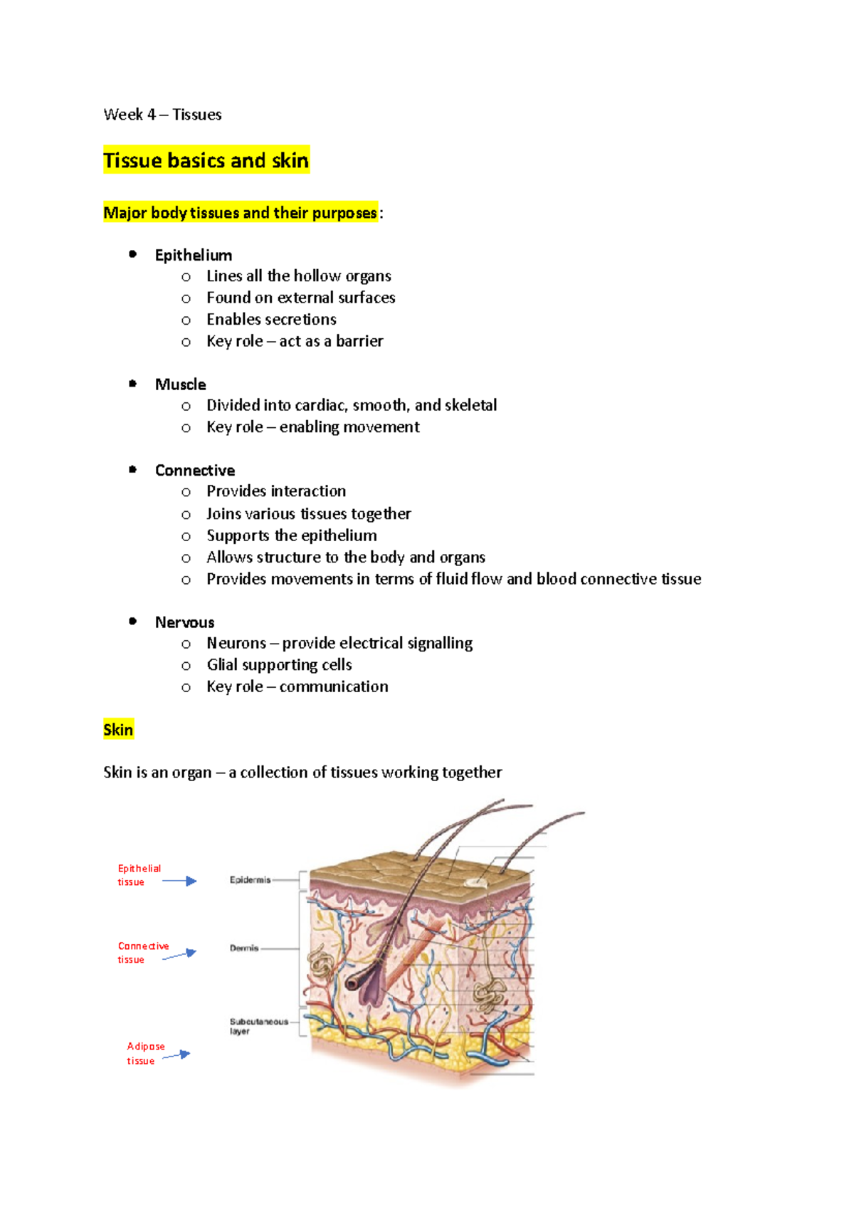 Week 4 - Various lecture notes - Week 4 – Tissues Tissue basics and ...