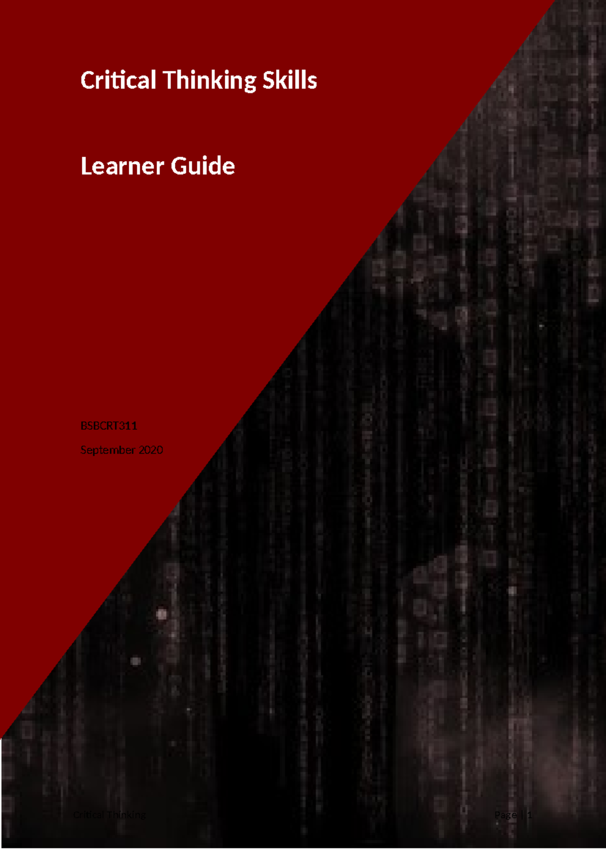 1 Critical Thinking Skills Learner Guide - Critical Thinking Skills ...