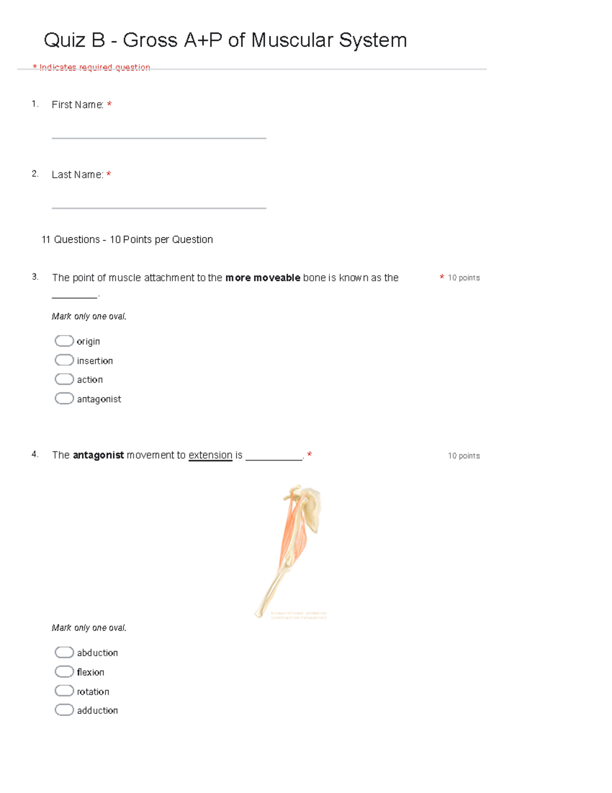 Quiz B: Gross Anatomy & Physiology of the Muscular System - Studocu