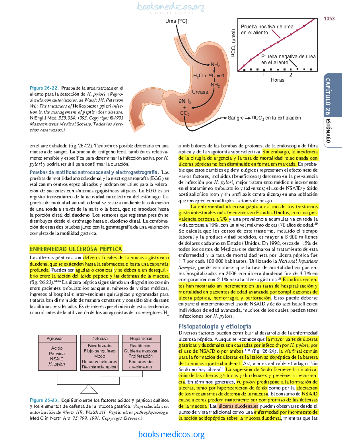 Estudio de la Enfermedad Ulcerosa Péptica: Análisis y Diagnóstico (1053) - Document Preview