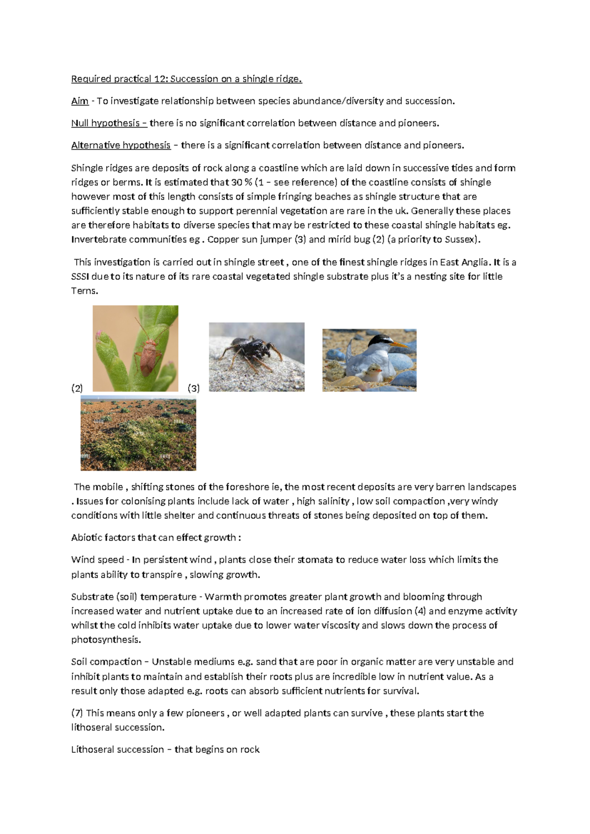 Cpac 12 - Investigating Succession on Shingle Ridges and Species ...