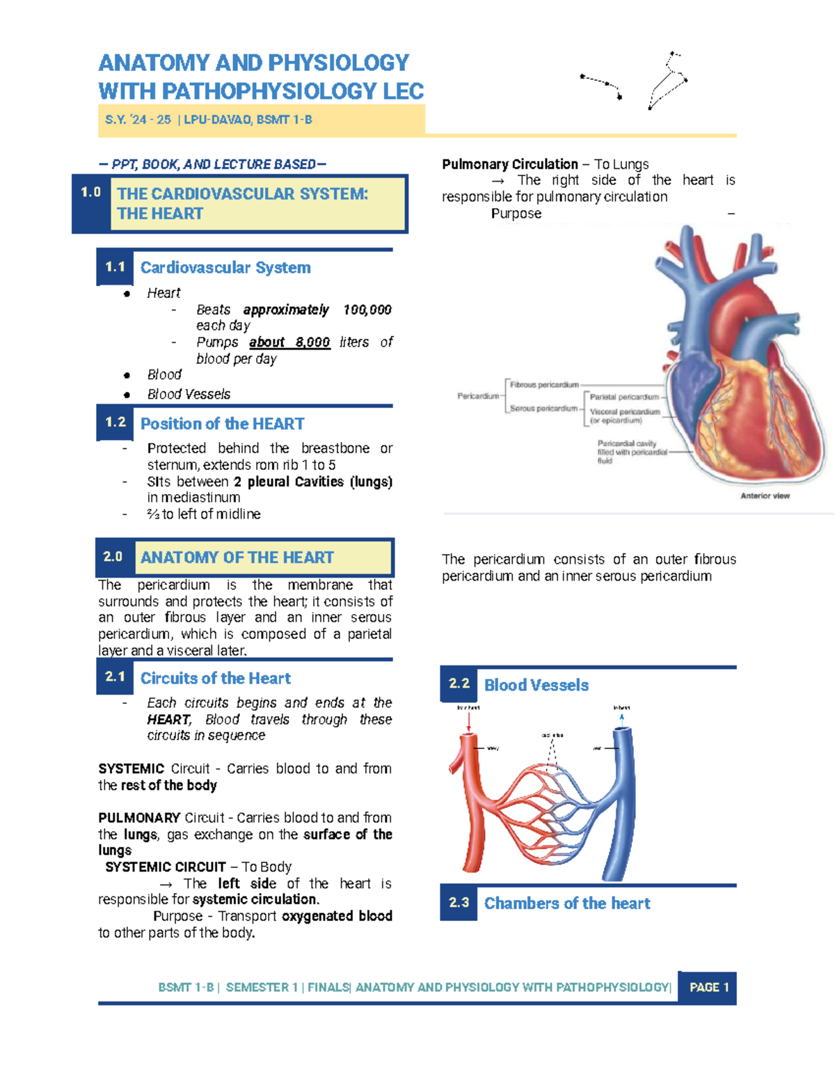 Finals- Anaphy-cvs - Anatomy and Physiology Notes - WITH ...