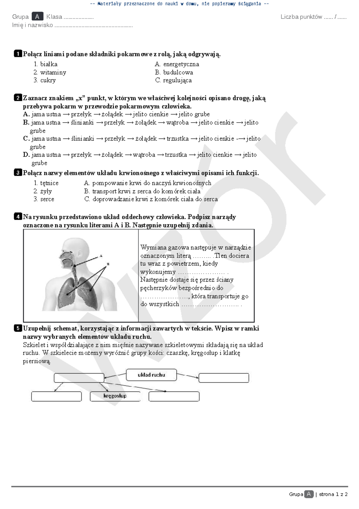 Sprawdzian Z Przyrody Klasa 4 łańcuch Pokarmowy www.studocu.com