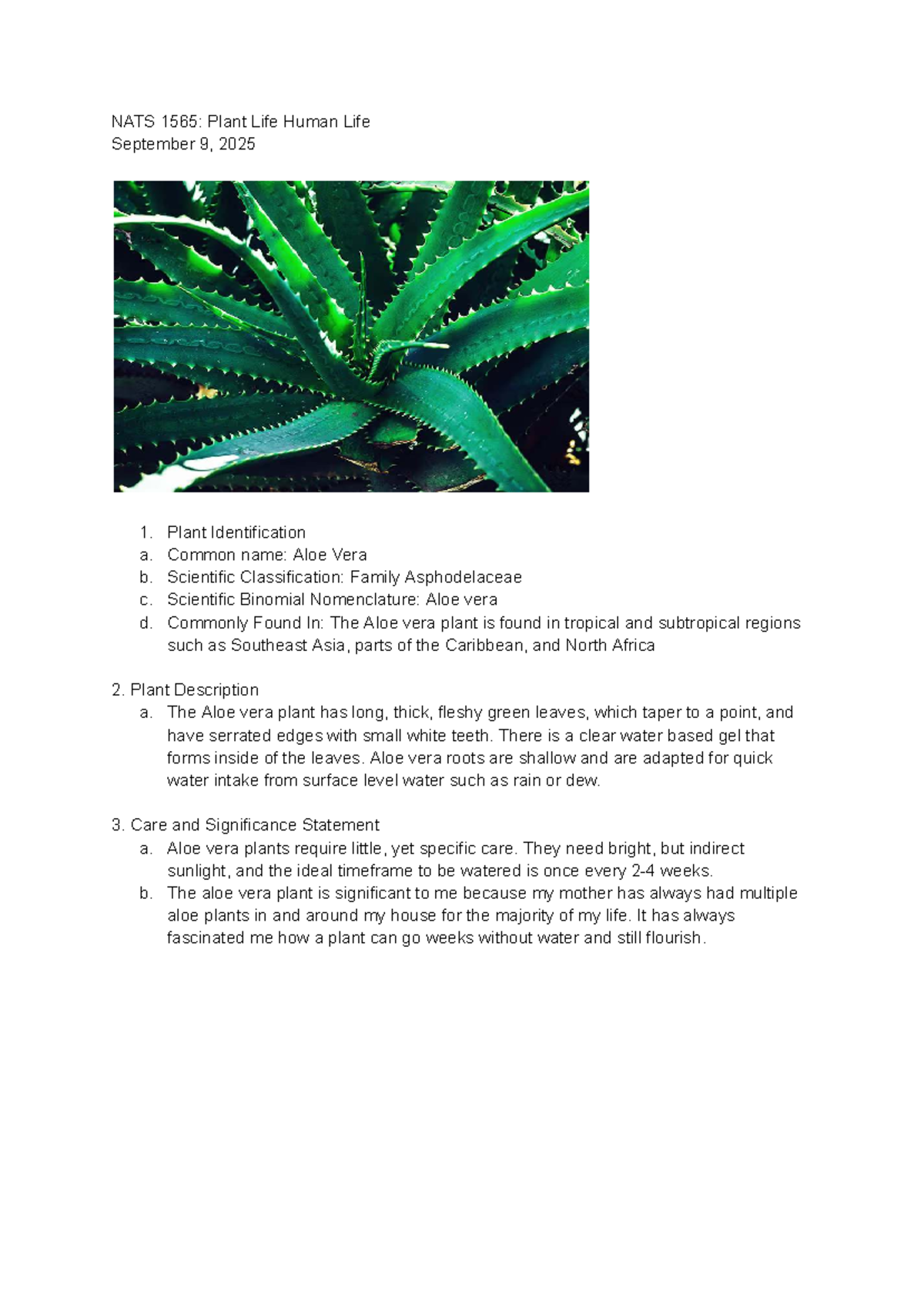 NATS 1565: Assignment 1 - Aloe Vera Plant Identification and Care - Studocu