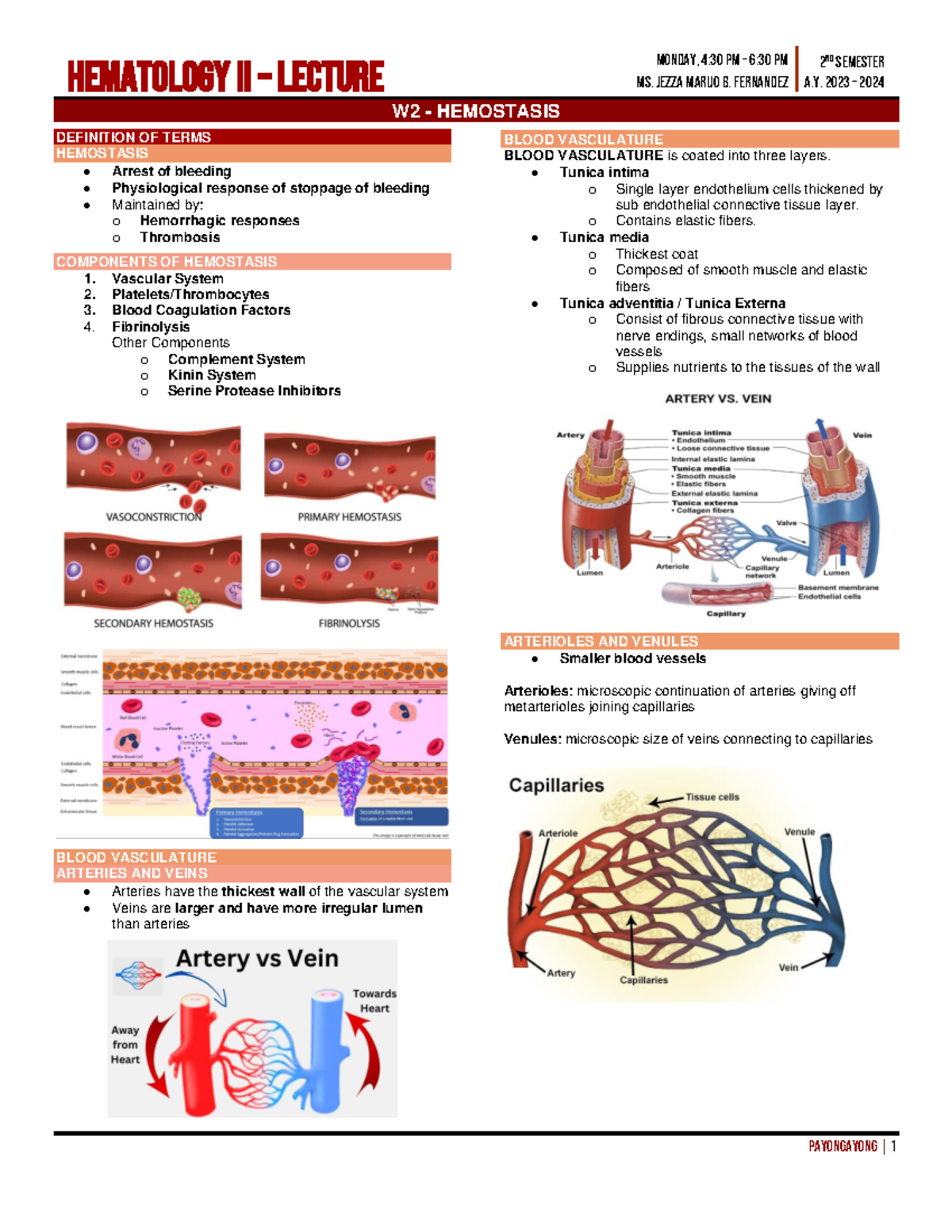 Hemostasis HEMATOLOGY - W 2 - HEMOSTASIS PAYONGAYONG | 1 2 ND SEMESTER ...