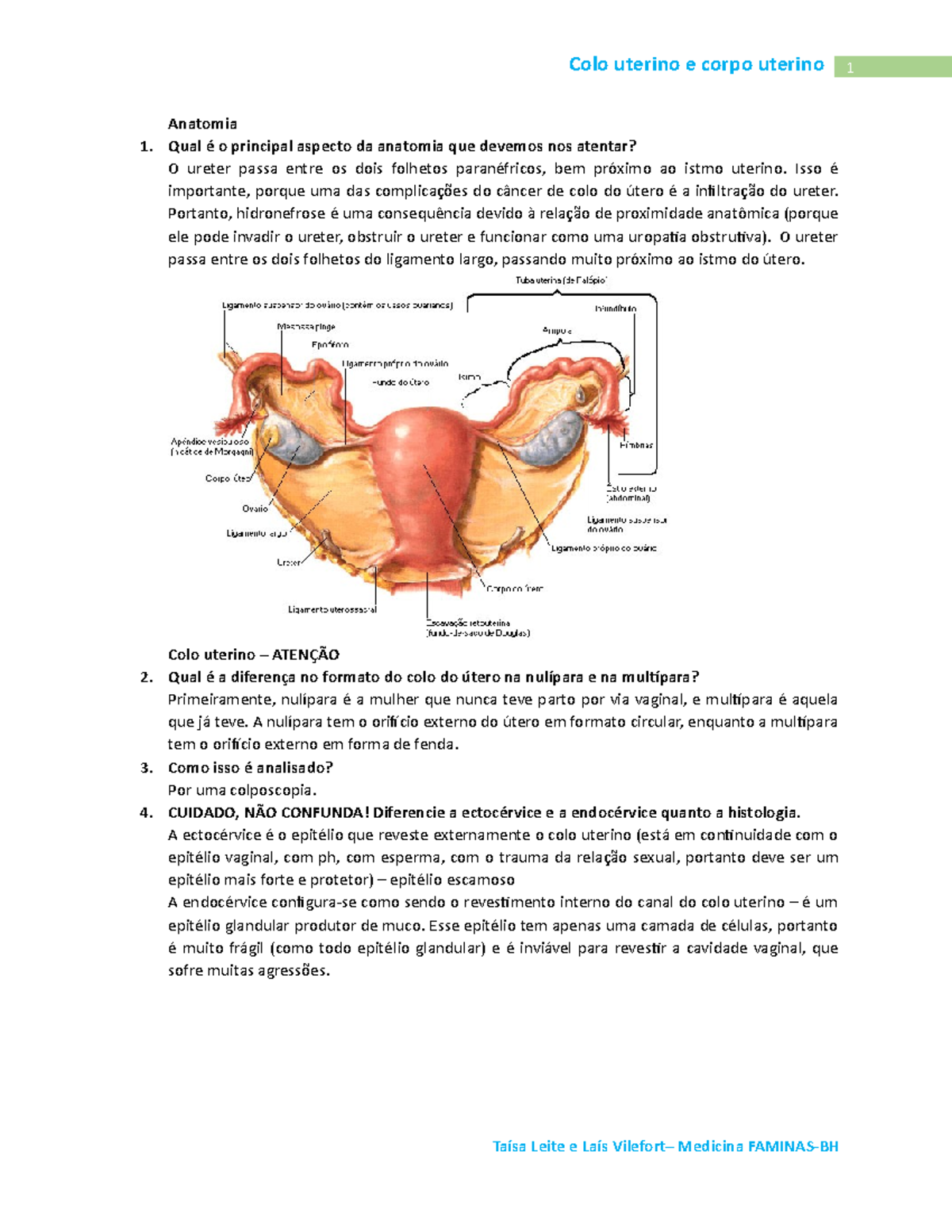 Patologia Medica 3 2 Etapa Colo Uterino E Corpo Uterino Anatomia 1 