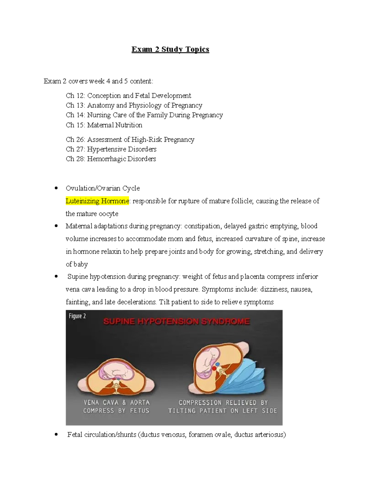 Exam 2 Study Topics: Conception, Pregnancy, and Nursing Care - Studocu