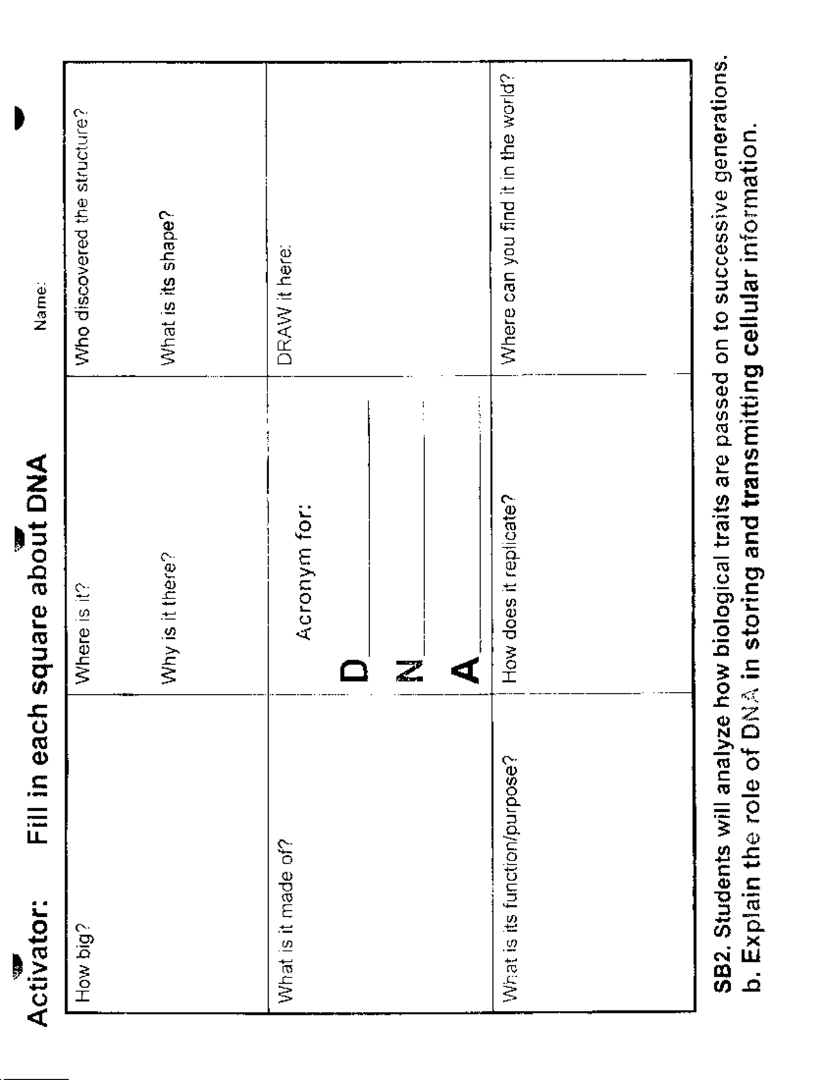 DNA activator - .sdjfskjd - BIOL 121 - Activator: Fill in each square ...