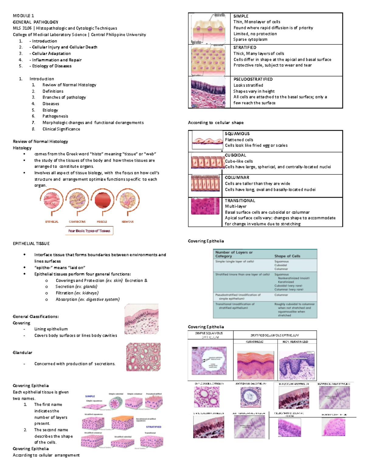 MLS 3106 General Pathology: Histopathology Modules 1.1-1.5 Notes - Studocu