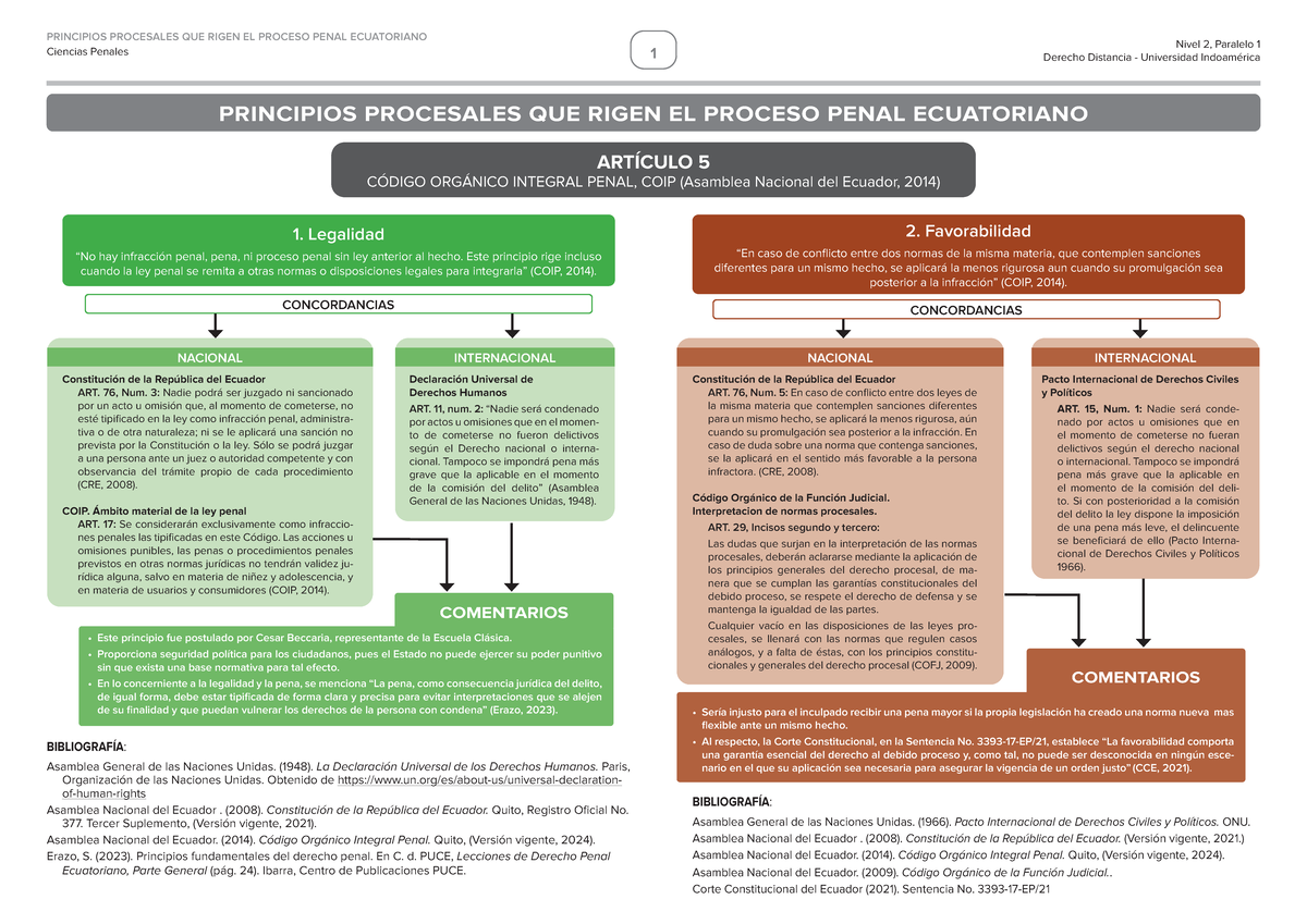 Principios Procesales del Proceso Penal en Ecuador - Ciencias Penales 2 ...