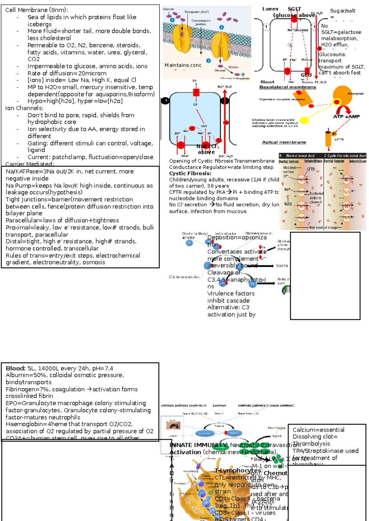 Bio Sci 107 exam cheat sheet - Cell Membrane (8nm): - Sea of lipids in ...