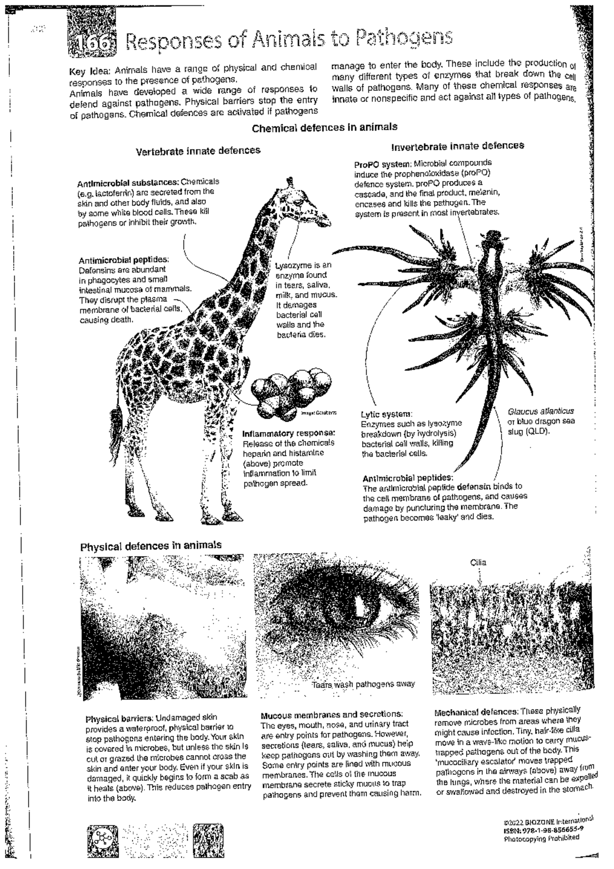 Responses of Animals to Pathogens: Mechanisms and Defenses - Studocu