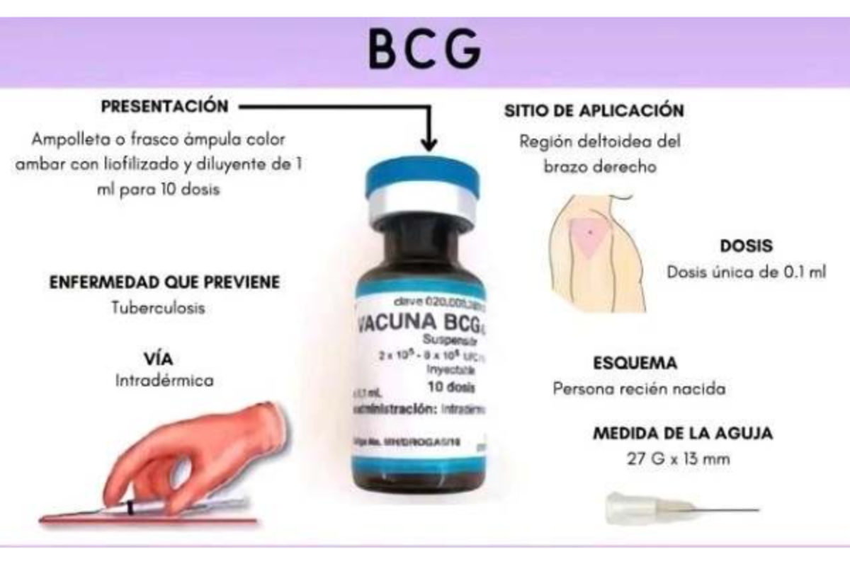 BCG y Vacunas: Presentación de Aplicación y Dosis para Prevención - Studocu