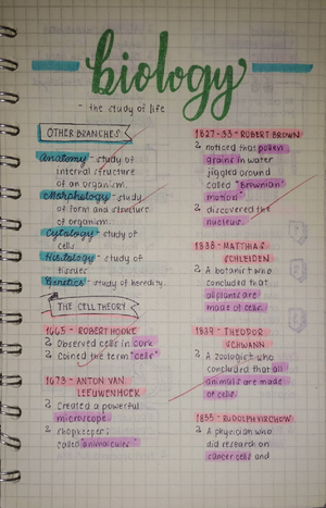 C 101: Meiosis and Mitosis Overview - Study Notes for Exam - Studocu