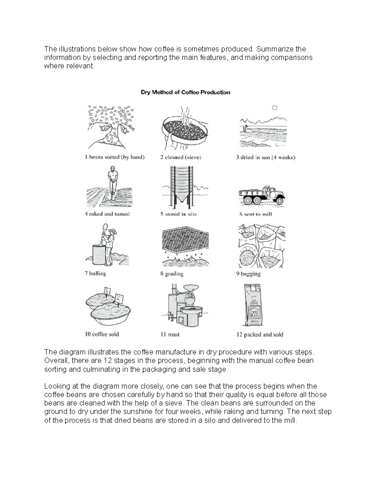 Coffee Production Process: A Detailed Illustration Analysis - Studocu