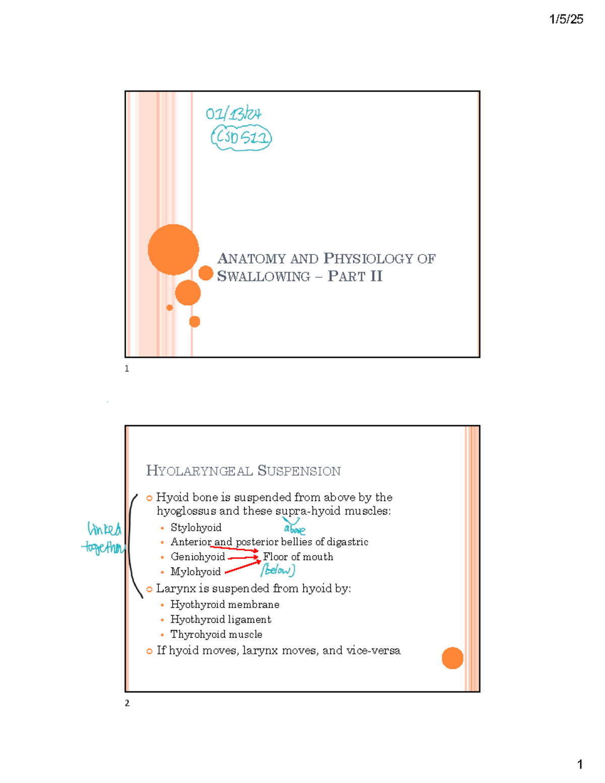 Anatomy and Physiology of Swallowing - A&P 2 Lecture Notes - ANATOMY ...