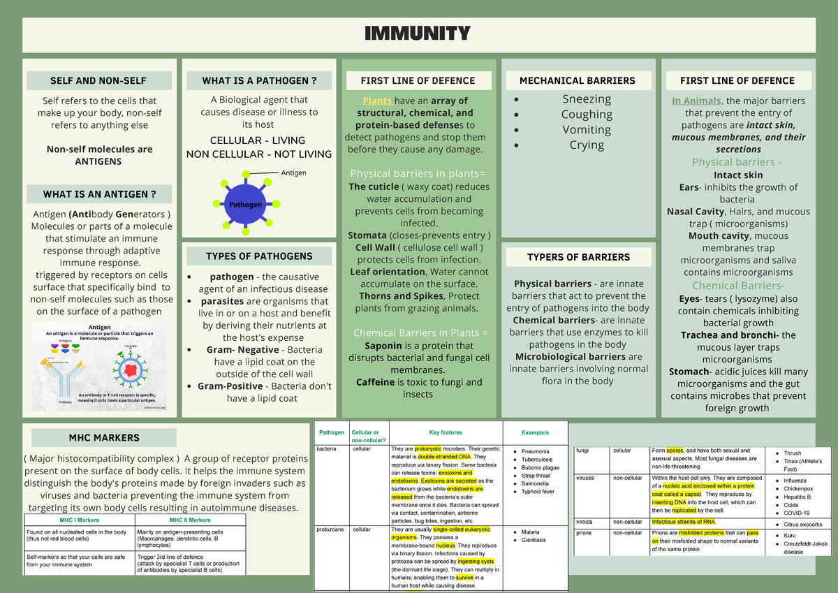Unit 3: Immunity and Pathogens - First Line of Defense Explained - Studocu