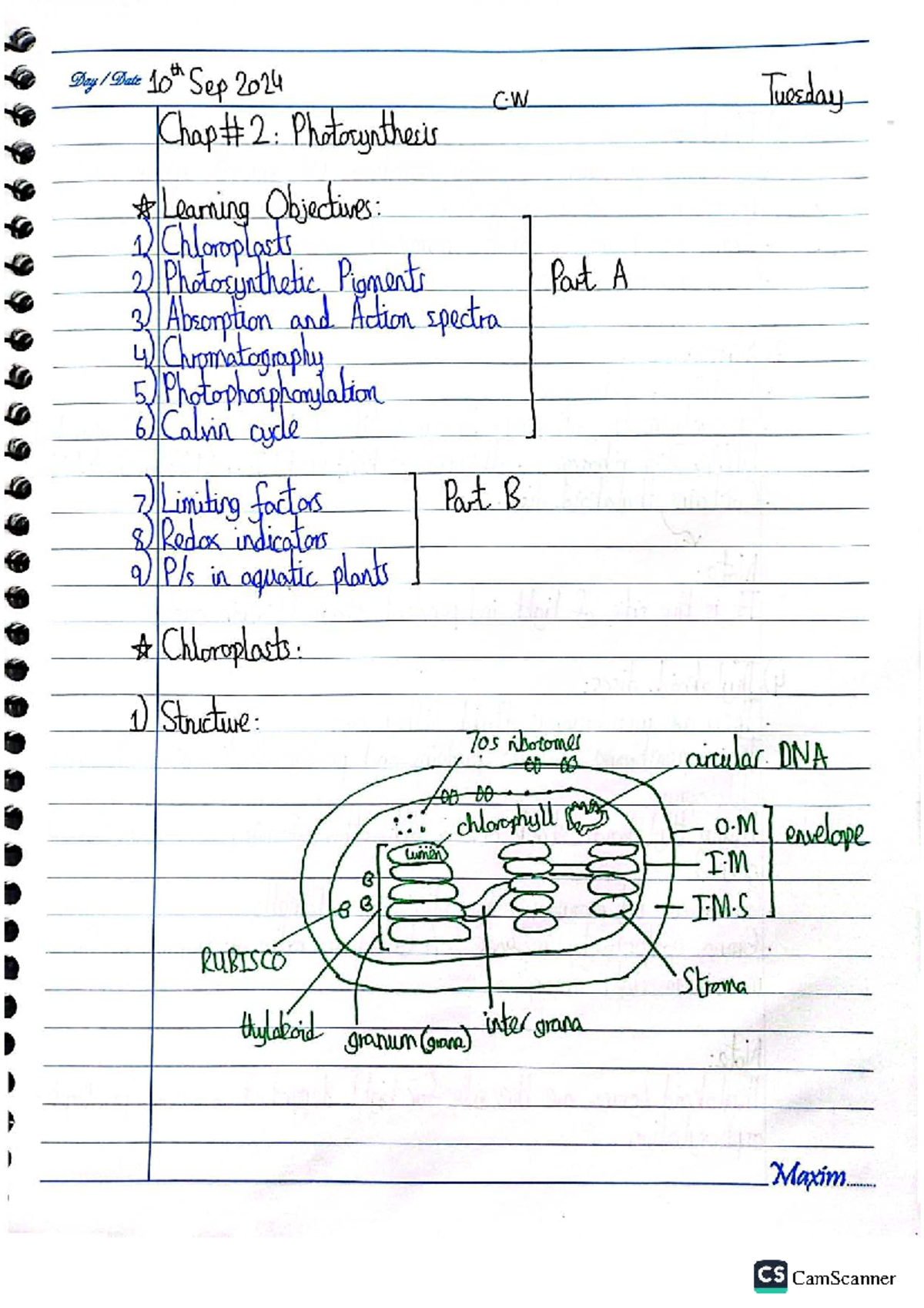 Photosynthesis (A2) - Comprehensive Study Notes - Studocu