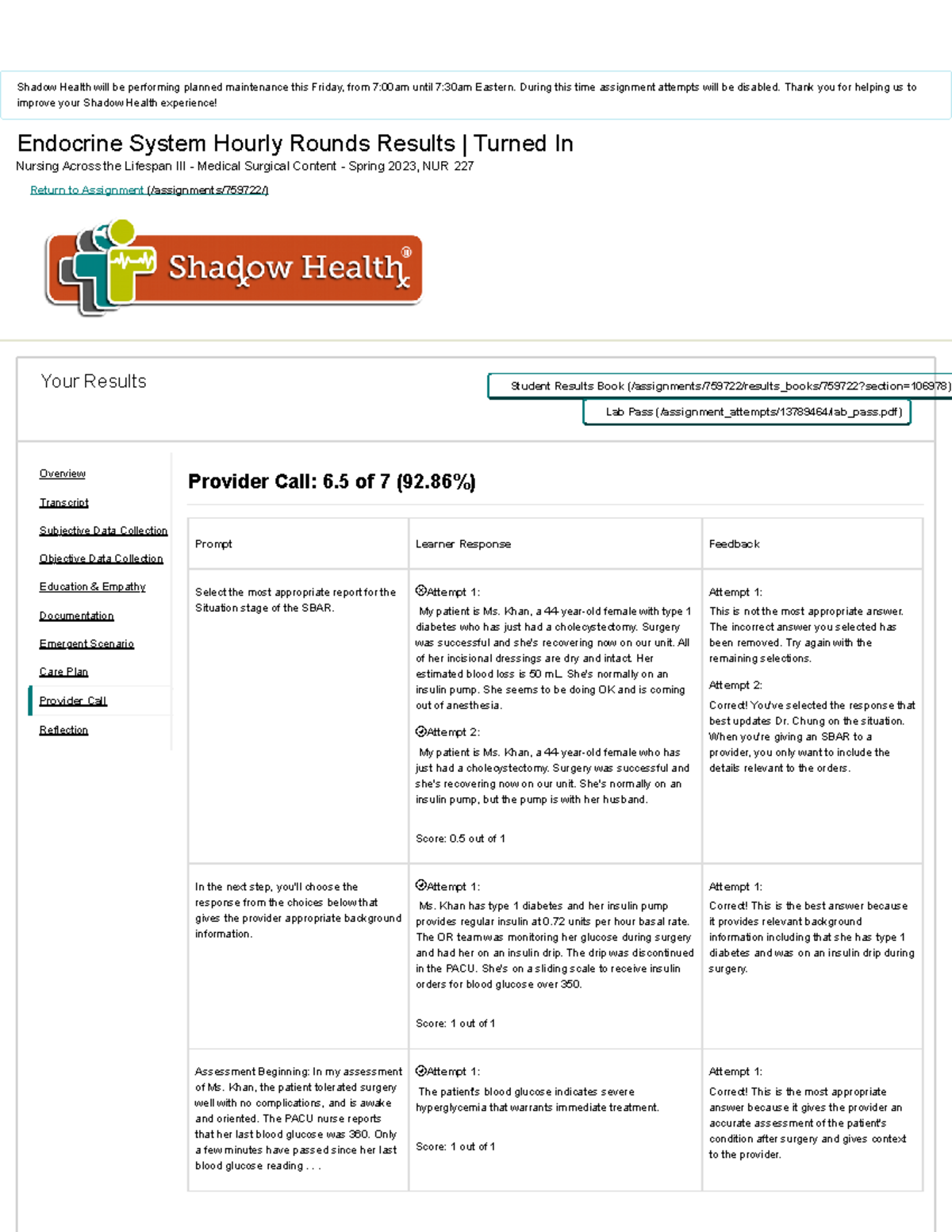 Shadow Health Endocrine System Hourly Rounds Results provider call
