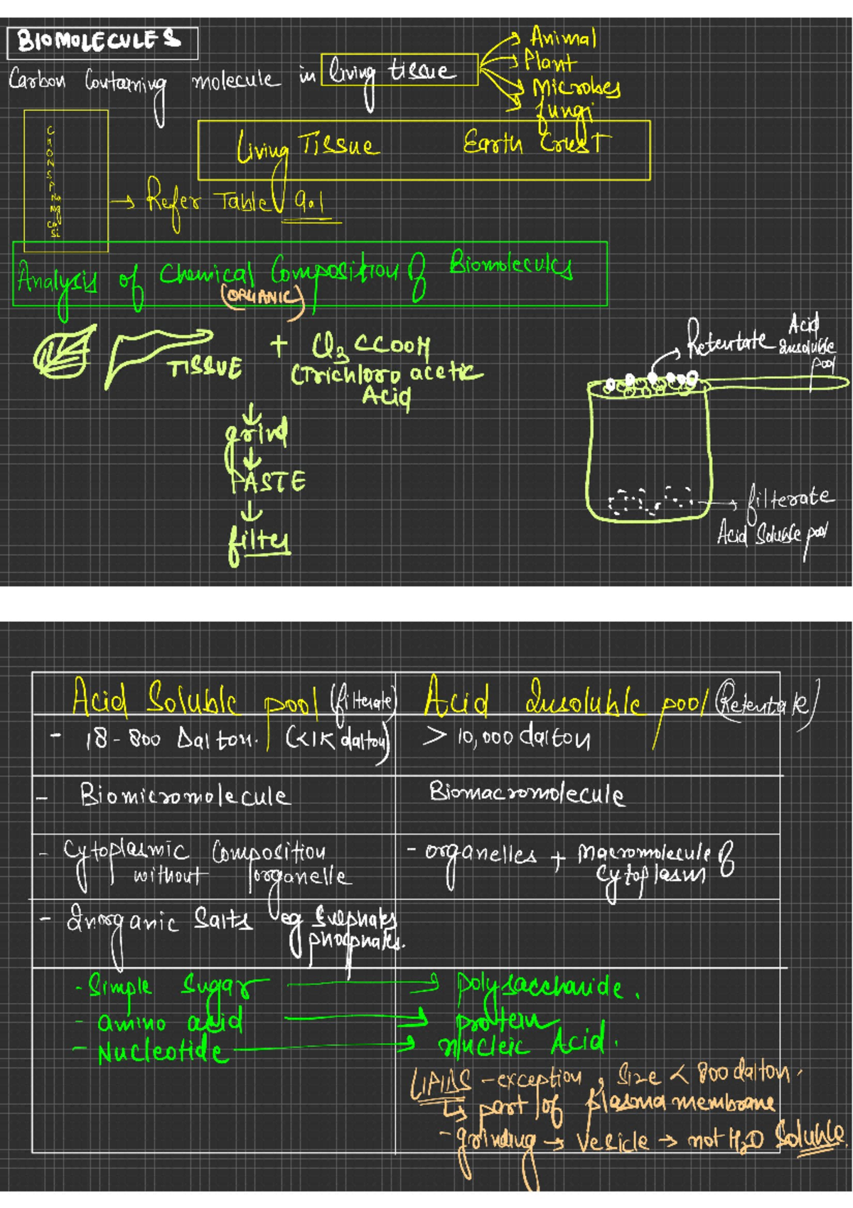 Bio L1 - Biomolecules Overview and Key Concepts - Studocu