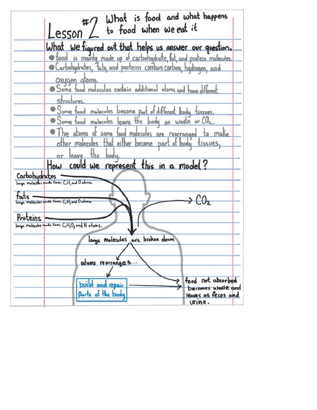 Course Codes & Class Details: Final Exam Review Notes - What is food ...
