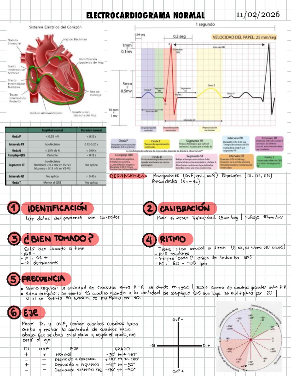 ECK 101: Apuntes sobre Lectura de ECG y Electrocardiograma Normal - Studocu