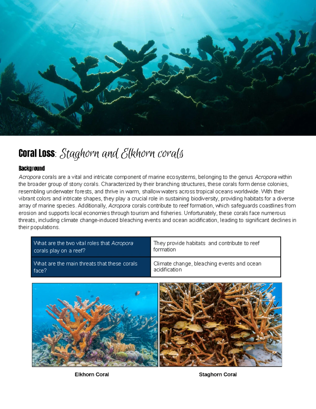 Gizmo Ocean Mapping Student Exploration Guide - Studocu