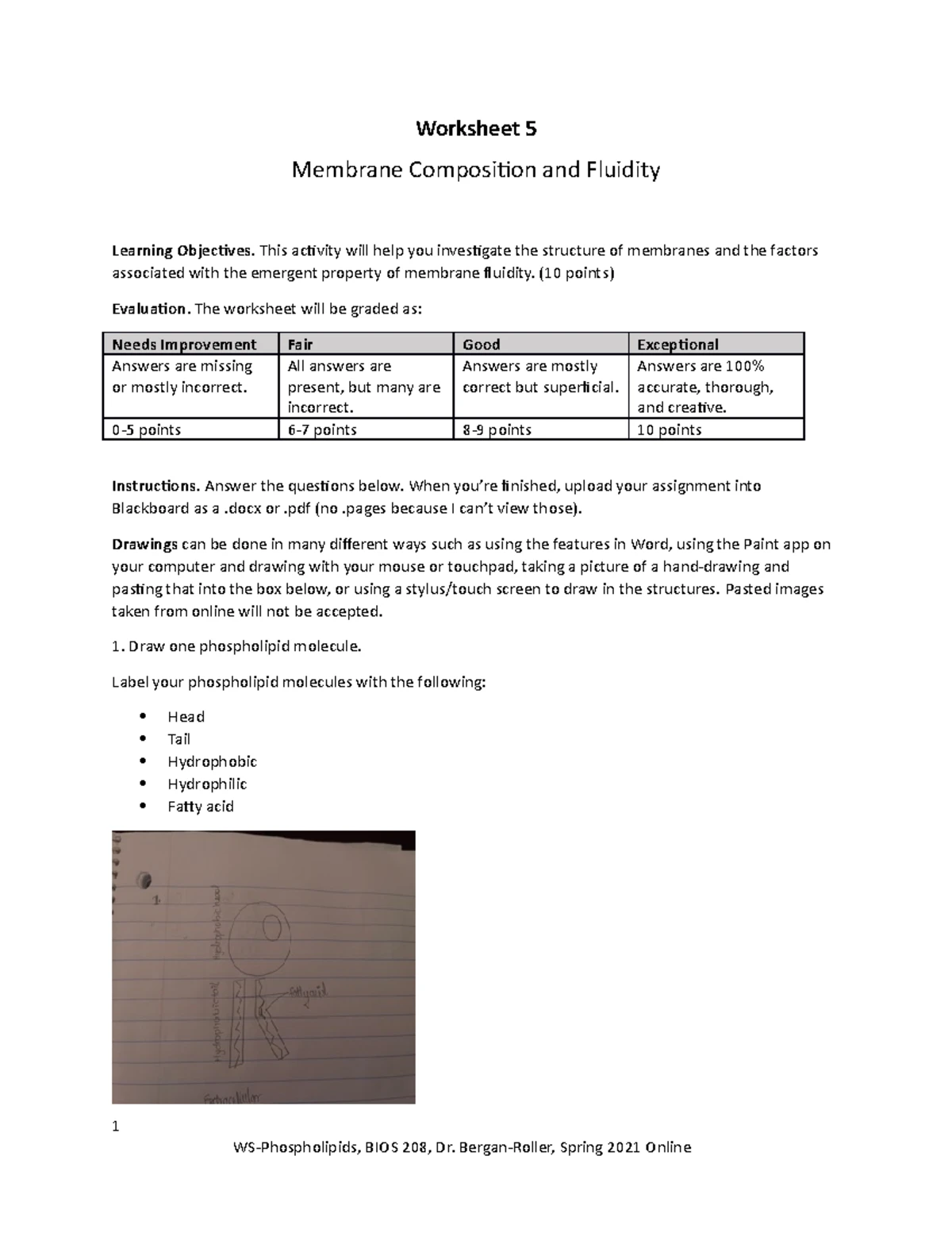 Biomolecules Worksheet Part 1 Identifying Functional Groups Solved: