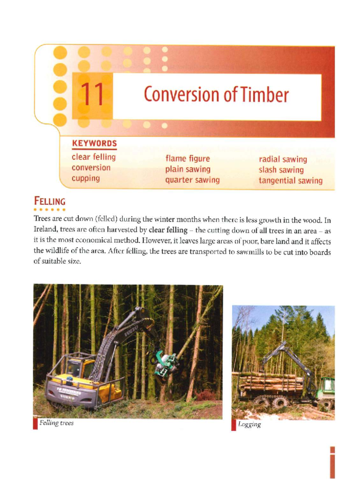 Conversion of Timber: Methods and Techniques (Wood Materials Tech ...