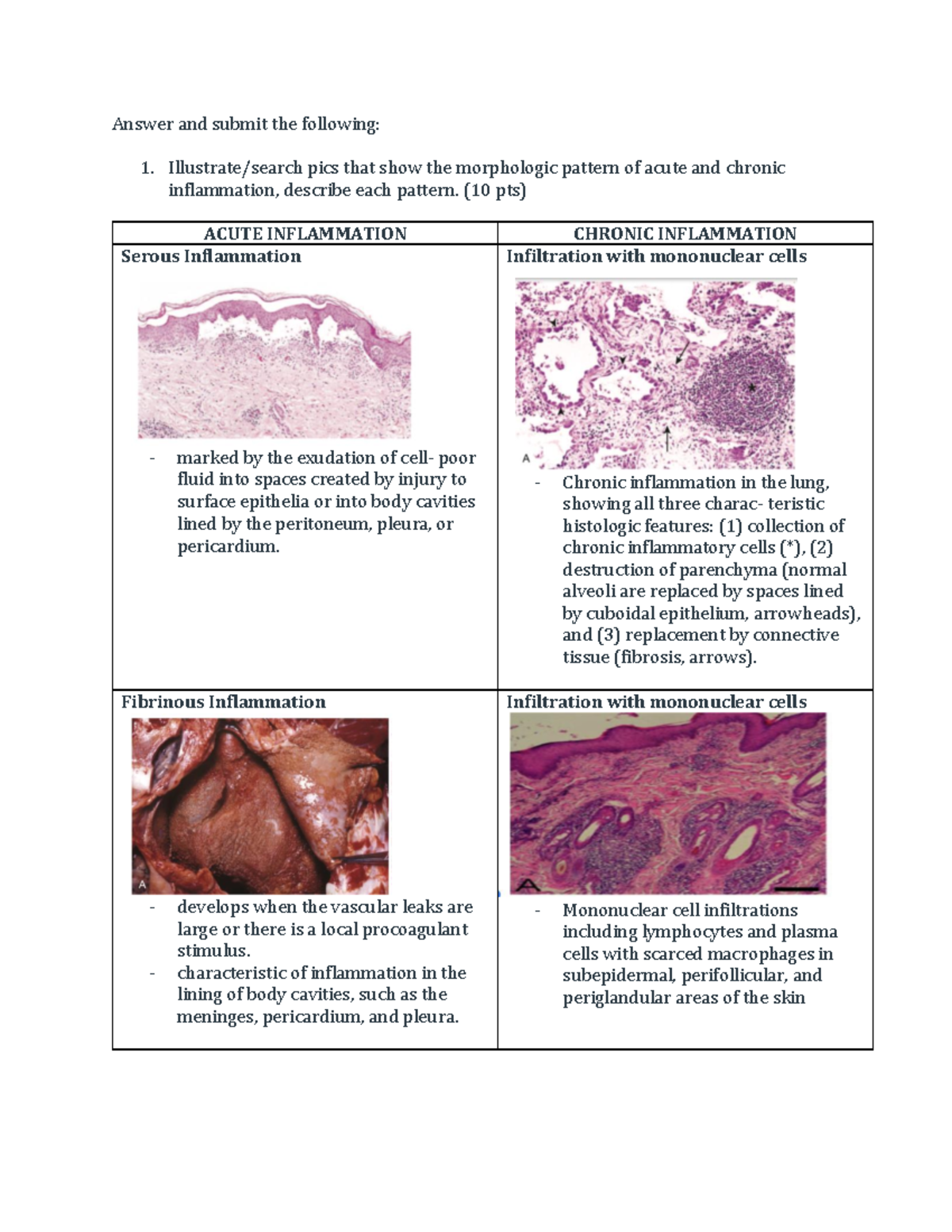 Inflammation Patterns: Acute vs. Chronic - A Detailed Comparison - Studocu